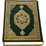 Al-Quran (Pro)